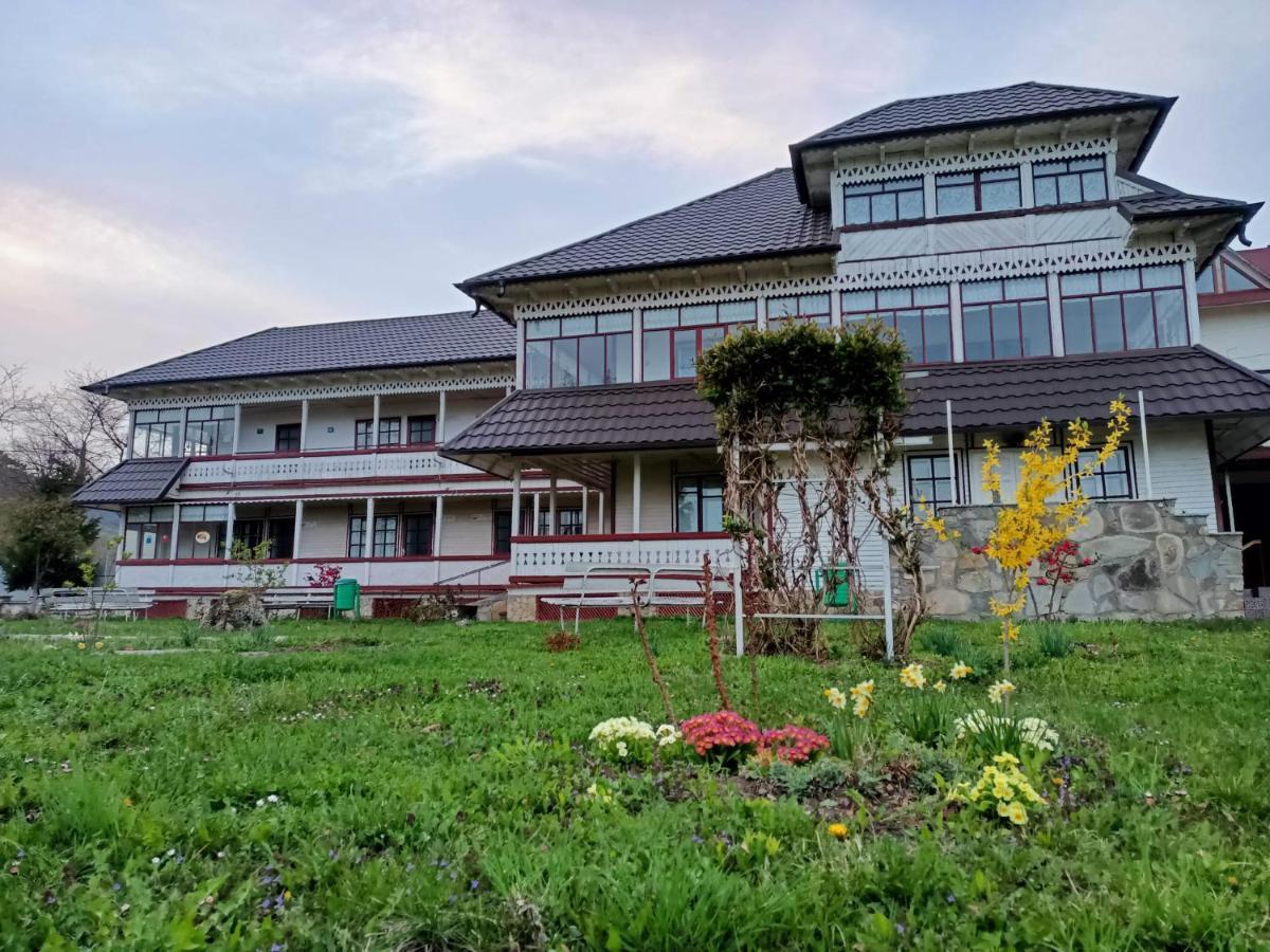 Văratec Padurea De Argint 빌라 외부 사진