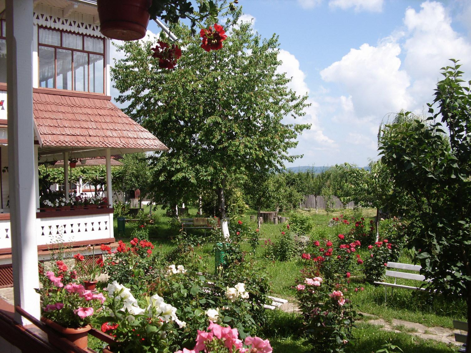Văratec Padurea De Argint 빌라 외부 사진